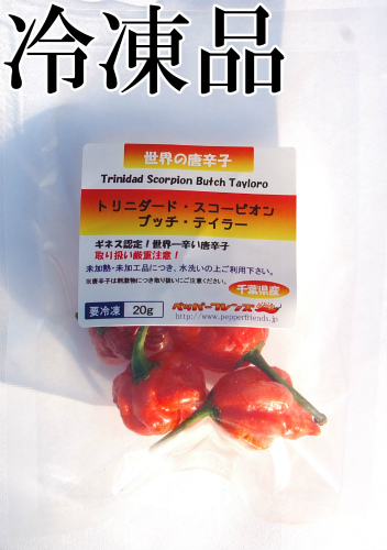 国産　生 トリニダード・スコーピオン・ブッチ・テイラー(赤) 冷凍品 20g