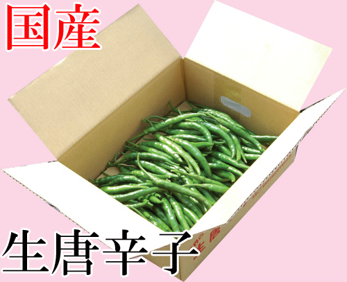 【冷蔵便】国産　生 青唐辛子 辛口 500g　生鮮品