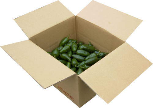 【冷蔵便】国産　生 ハラペーニョ（グリーン） 2.5kg (500g×5袋) 生鮮品