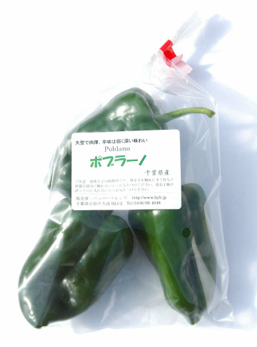 【冷蔵便】国産　生 ポブラーノ 200g　生鮮品