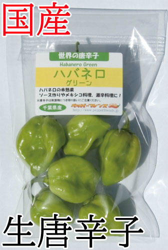 【冷蔵便】国産　生 ハバネロ (グリーン)  50g　生鮮品