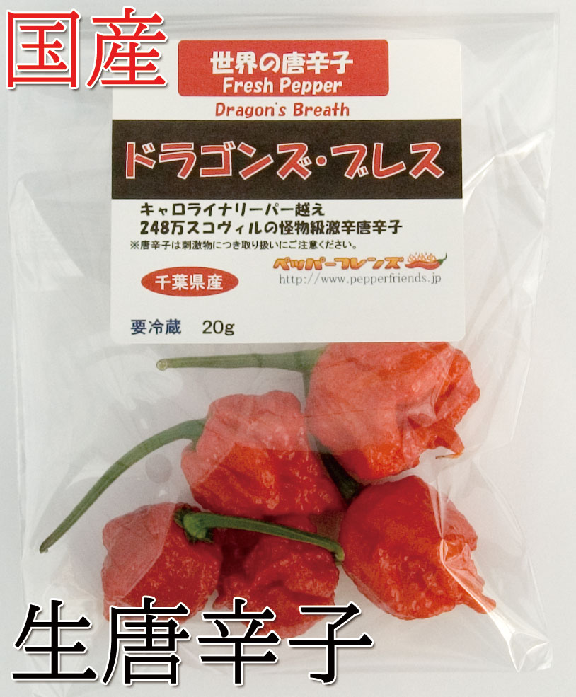 【冷蔵便】国産　生 ドラゴンズ・ブレス(レッド)　250g　生鮮品