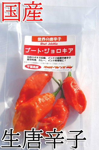 【冷蔵便】国産　生 ブート・ジョロキア(レッド) 20g　生鮮品