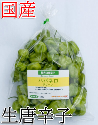 【冷蔵便】国産　生 ハバネロ (グリーン)  500g　生鮮品