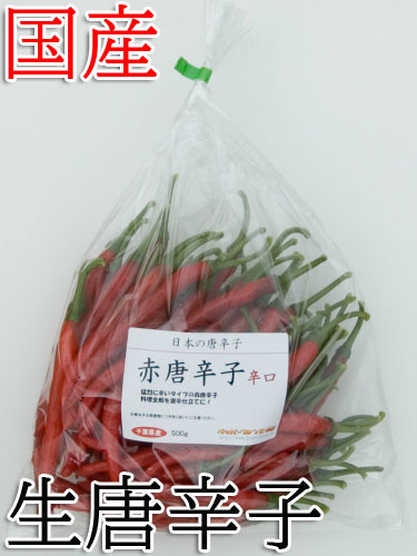 【冷蔵便】国産　生 赤唐辛子 辛口 500g　生鮮品