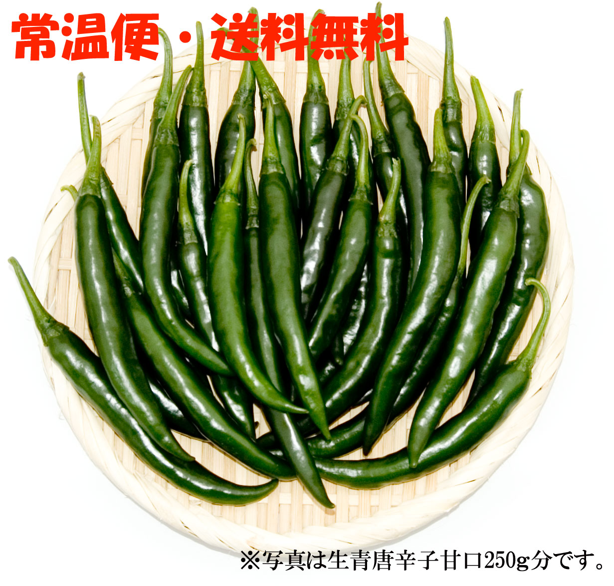 【ネコポス・送料無料】国産　生 青唐辛子 甘口 250g　生鮮