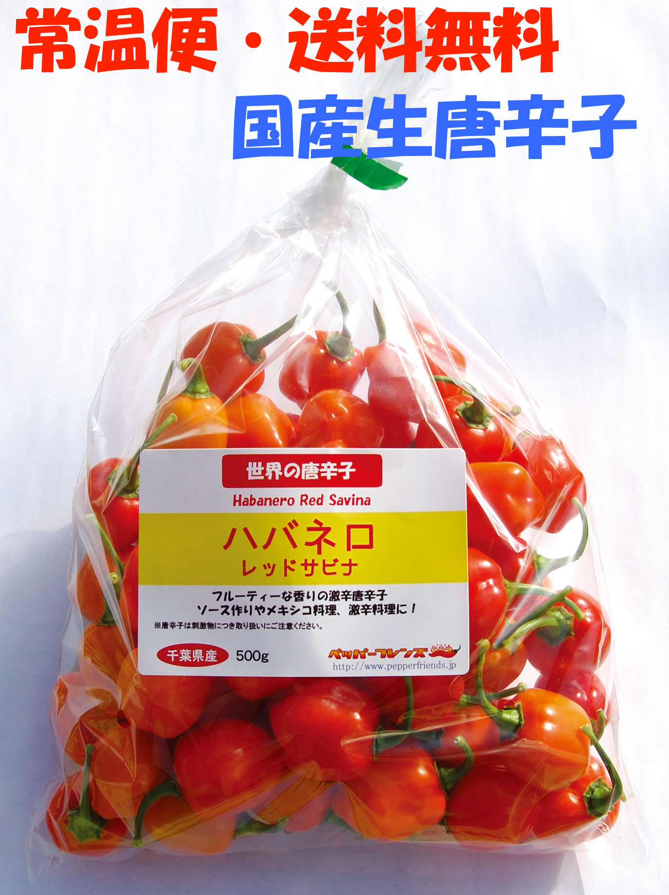 【常温宅配便・送料無料】国産 生 ハバネロ レッドサビナ(レッド) 500g 生鮮【3日以内受取必須】